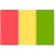 guinea.png